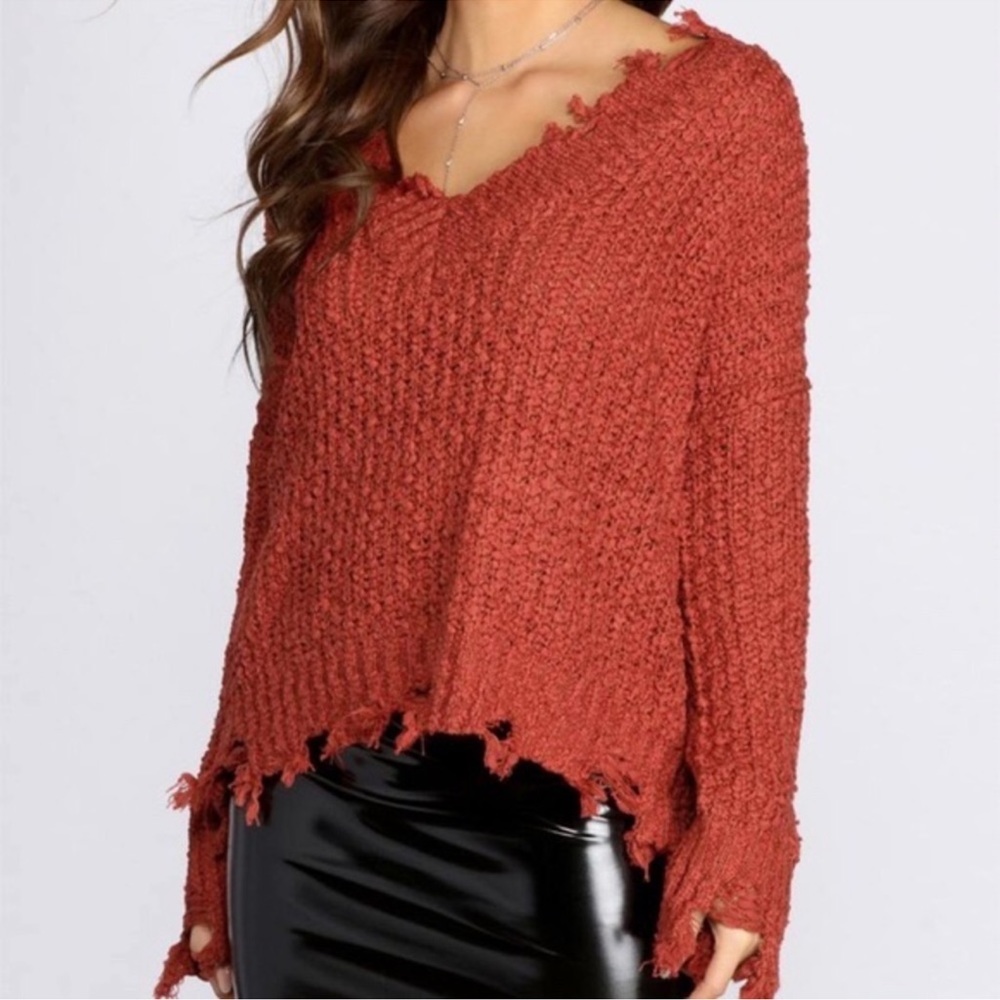 5/$25 Lizard Thicket MIRACLE rust knit sweater
